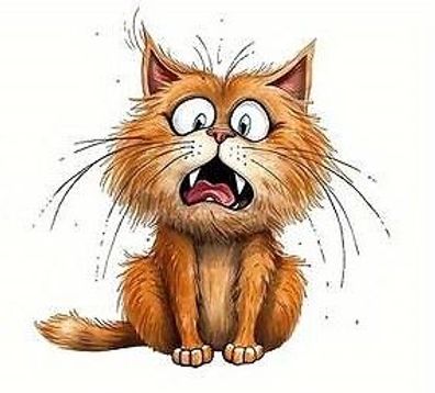 Bügelbild Bügelmotiv Katze Grumpy Cat Junge Baby Mädchen verschiedene Größen