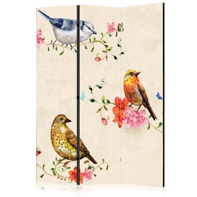 Beidseitig bedruckter Paravent 3-teilig Raumteiler Bunte Vögel und Blumen