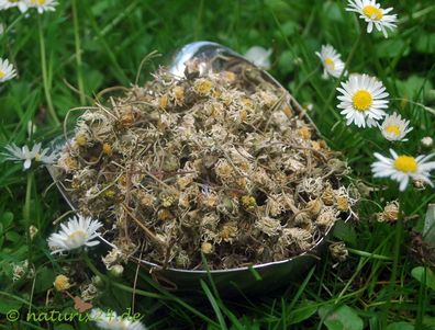 Gänseblümchen ganz 50 g
