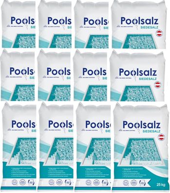 Salinen Poolsalz 12x25 kg