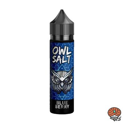 OWL Salt Blueberry Aroma, Longfill 10ml