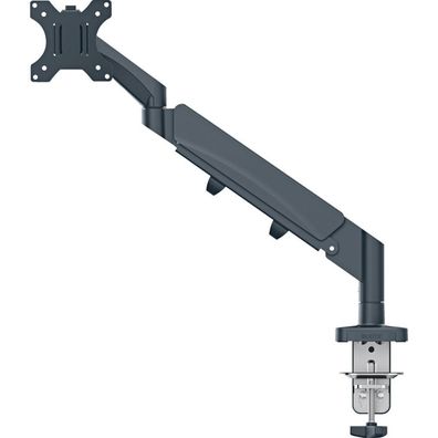 LEITZ Monitor-Halterung Ergo 64890089 dunkelgrau für 1 Monitor, Tischklemme