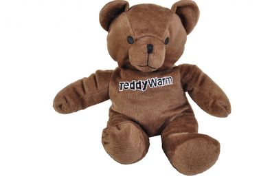 TeddyWarm Bärchen Wärmeteddy Körnerkissen Wärmekissen Wärmflasche Kühlkissen
