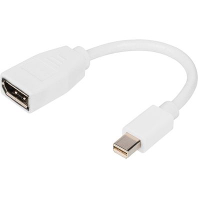 Digitus DisplayPort Adapterkabel, mini DP - DP