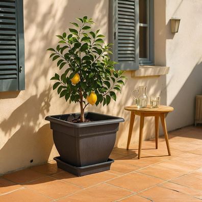 Pflanzkübel Blumentopf Wasserspeicher und Untersetzer Pflanztopf anthrazit