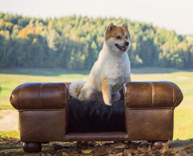 Casa Padrino Luxus Leder Hundebett Dunkelbraun / Schwarz 109 x 89 x H. 37 cm
