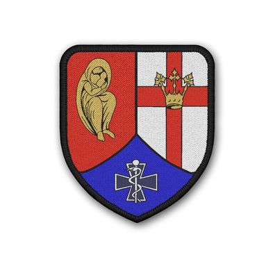 Patch Sanitätsregiment SanRgt 2 Dienststelle Militär Sanitätsdienst #41921
