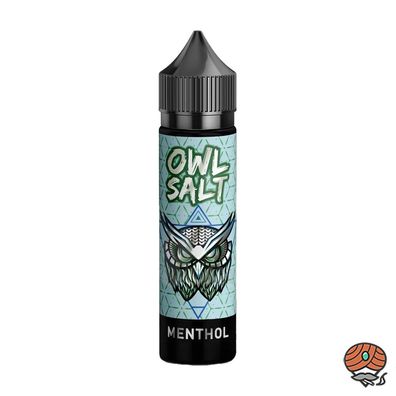 OWL Salt MenthoI Aroma, Longfill 10ml