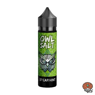 OWL Salt Spearmint Aroma, Longfill 10ml