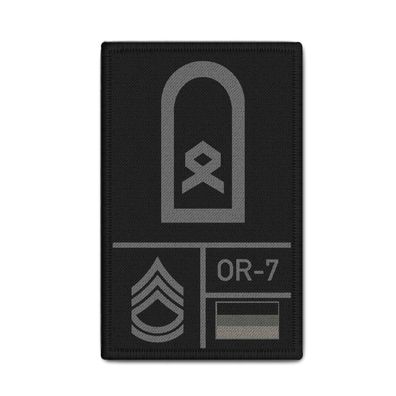 Tarn Hauptfeldwebel Bundeswehr Dienstrang Soldat Abzeichen Rank Patch #38117