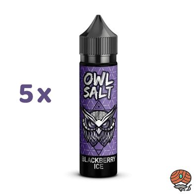 OWL Salt Blackberry Ice Aroma, Longfill 5x 10ml
