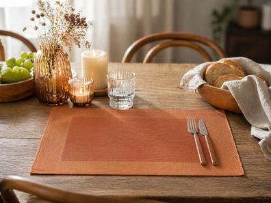 Platzdeckchen Tischset orange PVC 32,5x45cm Platzmatte Tischmatte Unterlage