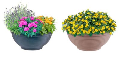 Pflanzschale Misa Blumenschale Pflanzkübel Blumentopf Blumenkübel Deko 40x17cm