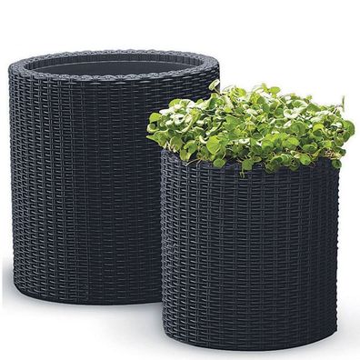 Keter Blumenkübel 2er-Set Rattanoptik Pflanzkübel Blumentopf Pflanztopf Deko