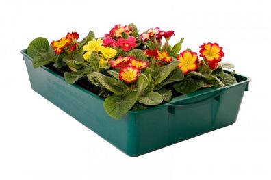 Universal Gärtnerbox Pflanzschale 58x32x11cm Anzuchttopf grün Pflanzwanne Blumenkaste