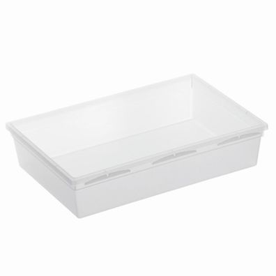 Rotho Basic modulare Ordnungsbox 23 x 15 cm für Schubladen, Kunststoff (PP)