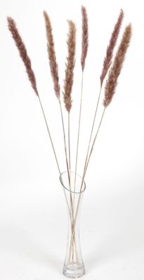 Pampasgras getrocknet 65-75cm Trockenstrauß Dekogras Wedel Grashalme Raumdeko
