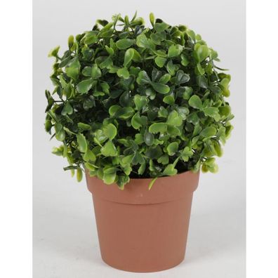 Künstlicher Buchsbaum Topf Pflanzen Blumen Dekoration Haushalt Wohnen Zimmer
