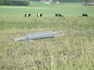 2 Stück Temperatur-Ausgleichsfeder Edelstahl stabile Ausführung für Stahldraht 2,5 mm