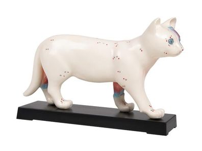 Akupunktur Modell Katze, 19 cm
