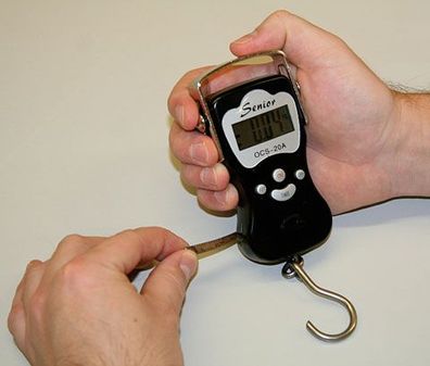 Digitale Hängewaage DigiScale 50 bis 50 kg Waage Kofferwaage