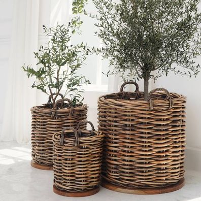 Dickes CL Rattan Korb Cestino braun ca. D40cm Teakbodenplatte Pflanzkorb Griffe