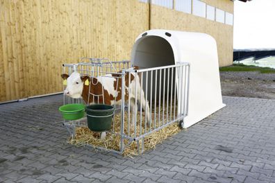 CalfHouse Premium Plus ohne Umzäunung