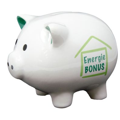 Charmantes Sparschwein aus Dolomit mit Energiebonus Aufdruck