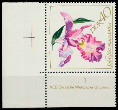 DDR 1968 Nr 1424 postfrisch ECKE-ULI X932252