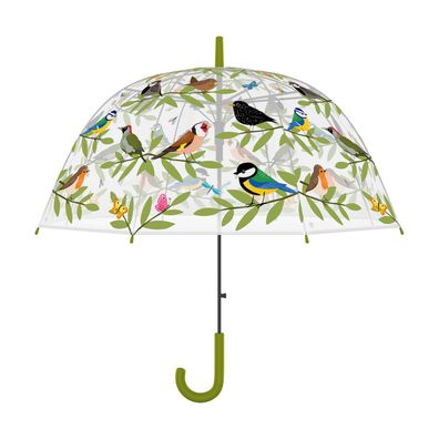 Regen Schirm Transparent Vögel Stock Automatik Vogel Erwachsene Bunt Regen