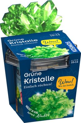 Grüne Kristalle züchten: Kosmos Experimentierkasten für Kinder ab 10