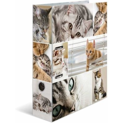 HERMA Ordner A4 Katzen