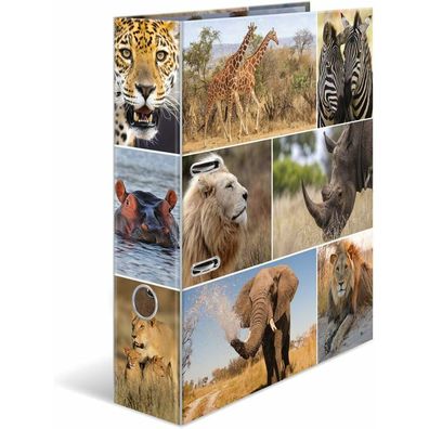HERMA Ordner A4 Afrika Tiere