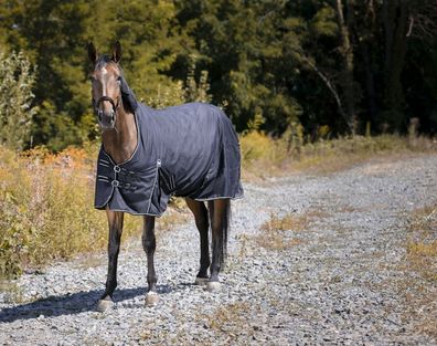 RIDING WORLD Oxford wasserdichte Decke 0 g