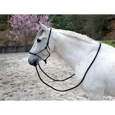 Norton Ethnologisches Halfter mit Zügel in verschiedenen Farben