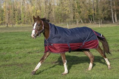 Equithème TYREX 1200 D, High Neck Decke 0g Weidedecke Outdoordecke
