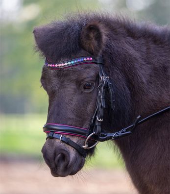 Waldhausen STAR Trensenzaum Pinky Mini Shetty bis Pony