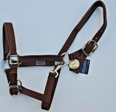 EQuest Halfter Dual Plus 2-fach Verstellbar gepolstert versch. Größen