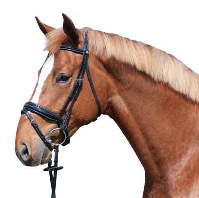 EQuest Lacktrense gepolstert incl. Stick - schwedisches Reithalfter