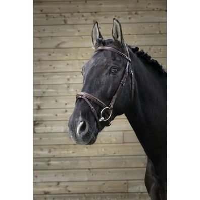 Trensenzaum NORTON PRO Fin in schwarz und havana
