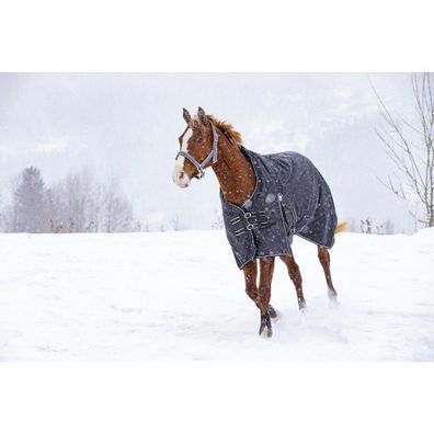 RIDING WORLD Oxford wasserdichte Decke mit Polar Fleece Futter