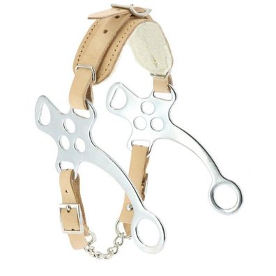 Feeling Hackamore Warmblut