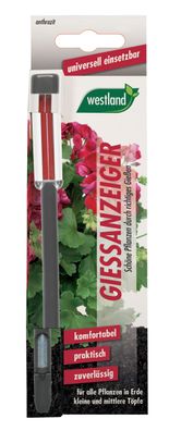 WESTLAND® Gießanzeiger für Blumenerde, 16 cm anthrazit
