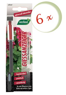 6 x WESTLAND® Gießanzeiger für Blumenerde, 16 cm anthrazit