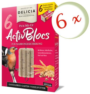 6 x DELICIA® Pick-Me-Up AktivBlocs, 6 Stück