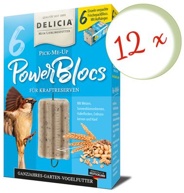 12 x DELICIA® Pick-Me-Up PowerBlocs, 6 Stück