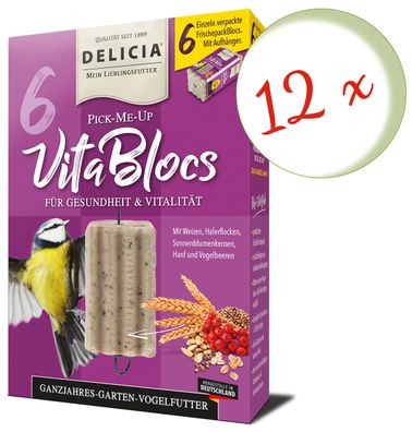 12 x DELICIA® Pick-Me-Up VitalBlocs, 6 Stück