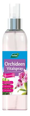WESTLAND® Orchideen Vitalspray, 250 ml