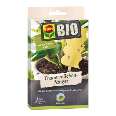 COMPO BIO Trauermückenfänger, 5 Stück