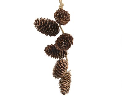 Tannenzapfen Deko an Jute Kordel zum Aufhängen 7,5x20cm natur braun